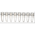 Ống PCR 0.2mL