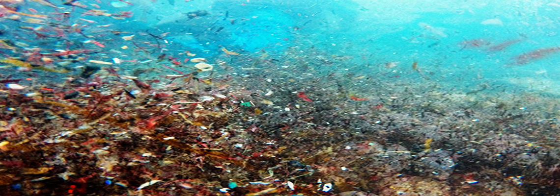 Microplastics contamination in oceans and waterways