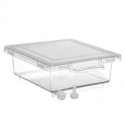 Bel-Art Clear PMP Gel Staining Box with Plastic Cover; 5 x 5 x 2 in.