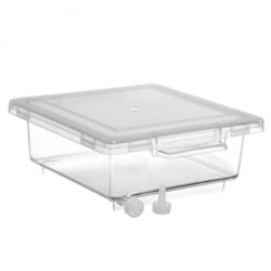 Bel-Art Translucent Plastic Gel Staining Box with Cover; 5 x 5 x 2 in.