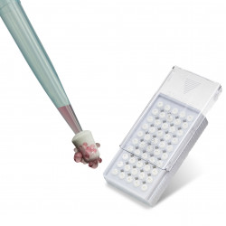 Đầu lọc Bel-Art Flowmi 70 Micron dành cho micropipette (Bộ 50 cái)