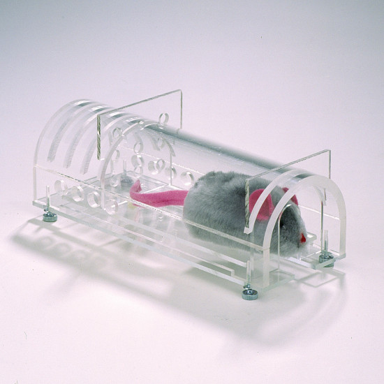 Bel-Art Universal Animal Restrainer for 10-40 Gram Mice; Acrylic