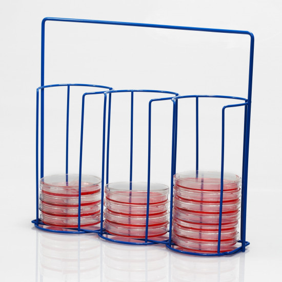 Bel-Art Poxygrid 100mm Petri Dish Carrying Rack; 30 Places