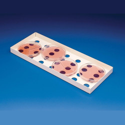 Bel-Art Petri Dish Incubation Tray; 13¾ x 5⅜ x ⅞ in., Steel